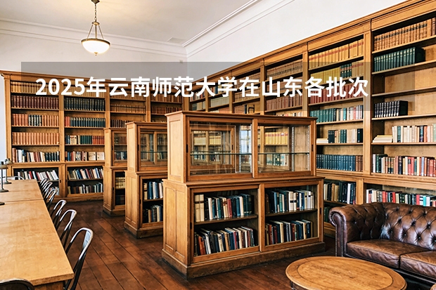 2025年云南师范大学在山东各批次选科要求（2026年参考）