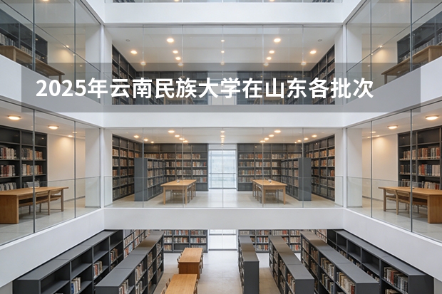 2025年云南民族大学在山东各批次选科要求（2026年参考）