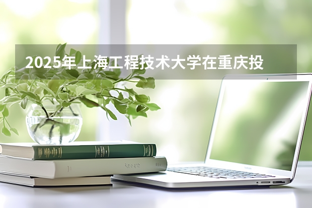 2025年上海工程技术大学在重庆投档分数线（2026年参考）