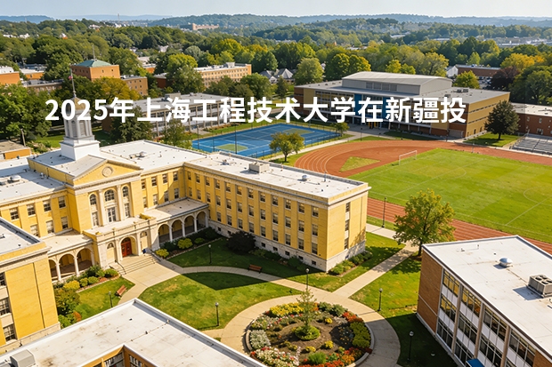 2025年上海工程技术大学在新疆投档分数线（2026年参考）