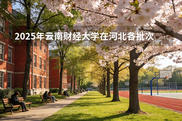 2025年云南财经大学在河北各批次选科要求（2026年参考）