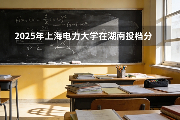 2025年上海电力大学在湖南投档分数线（2026年参考）