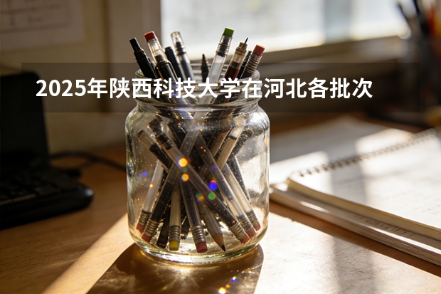 2025年陕西科技大学在河北各批次选科要求（2026年参考）