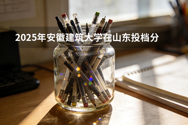 2025年安徽建筑大学在山东投档分数线（2026年参考）