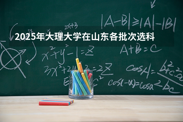 2025年大理大学在山东各批次选科要求（2026年参考）