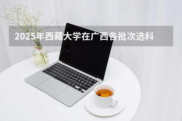 2025年西藏大学在广西各批次选科要求（2026年参考）