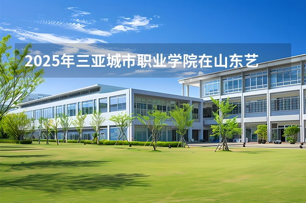 2025年三亚城市职业学院在山东艺术类投档分数线（2026年参考）