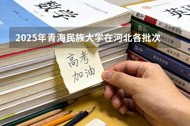 2025年青海民族大学在河北各批次选科要求（2026年参考）