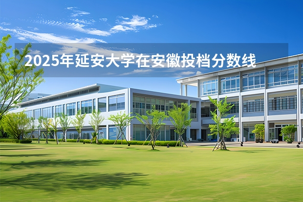 2025年延安大学在安徽投档分数线（2026年参考）