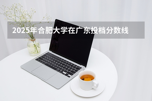 2025年合肥大学在广东投档分数线（2026年参考）