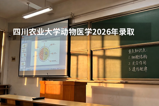 四川农业大学动物医学2026年录取线与畜牧兽医就业方向