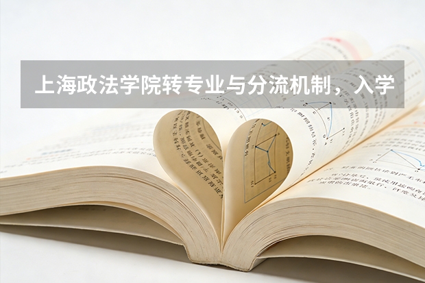 上海政法学院转专业与分流机制，入学后调整方向的可能性