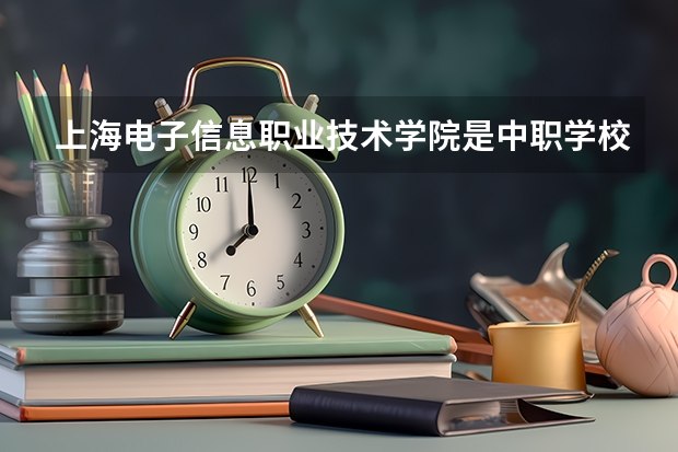 上海电子信息职业技术学院是中职学校还是高职学校 上海电子信息职业技术学院学校简介