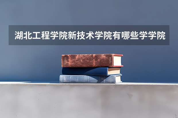 湖北工程学院新技术学院有哪些学学院 湖北工程学院新技术学院一年学费贵不贵