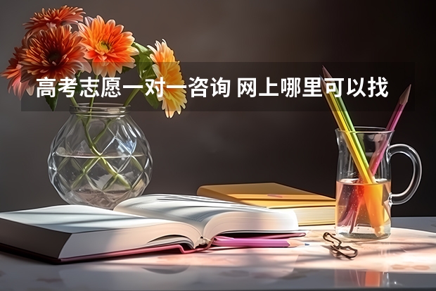 高考志愿一对一咨询 网上哪里可以找到一对一高考志愿填报的咨询服务呢？