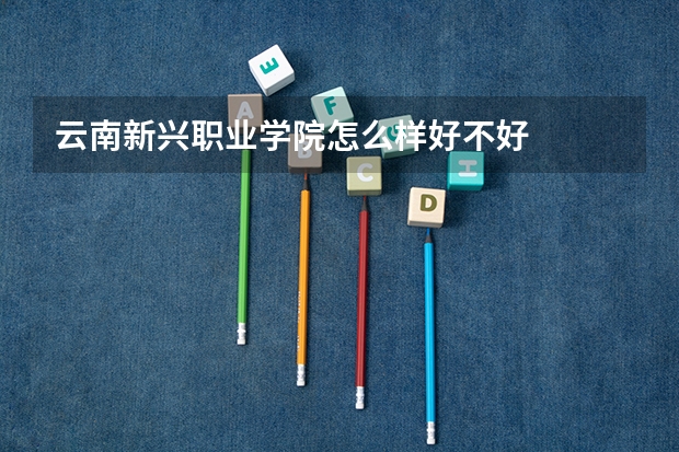 云南新兴职业学院怎么样好不好