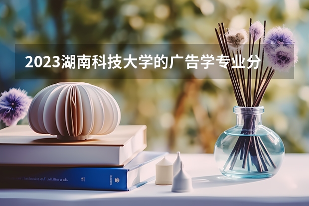 2023湖南科技大学的广告学专业分数线高不高 湖南科技大学广告学专业历年分数线参考表单