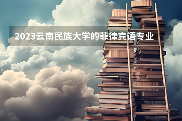 2023云南民族大学的菲律宾语专业分数线高不高 云南民族大学菲律宾语专业历年分数线参考表单