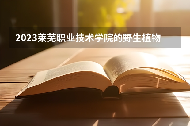 2023莱芜职业技术学院的野生植物资源保护与利用专业分数线高不高 莱芜职业技术学院野生植物资源保护与利用专业历年分数线参考表单