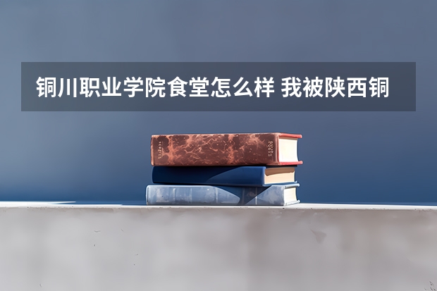 铜川职业学院食堂怎么样 我被陕西铜川职业技术学院录取了，想问下那个学校怎么样？？？急～！～！