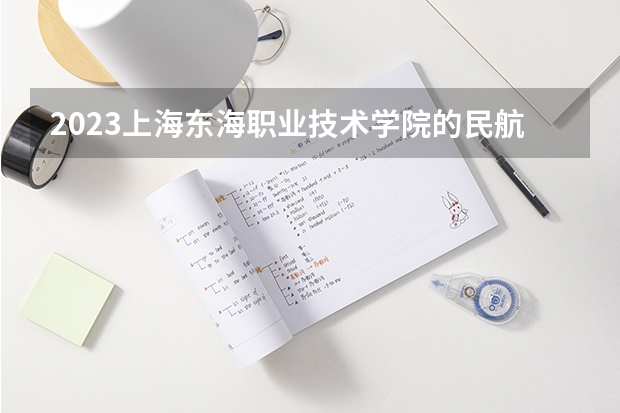 2023上海东海职业技术学院的民航运输服务专业分数线高不高 上海东海职业技术学院民航运输服务专业历年分数线参考表单