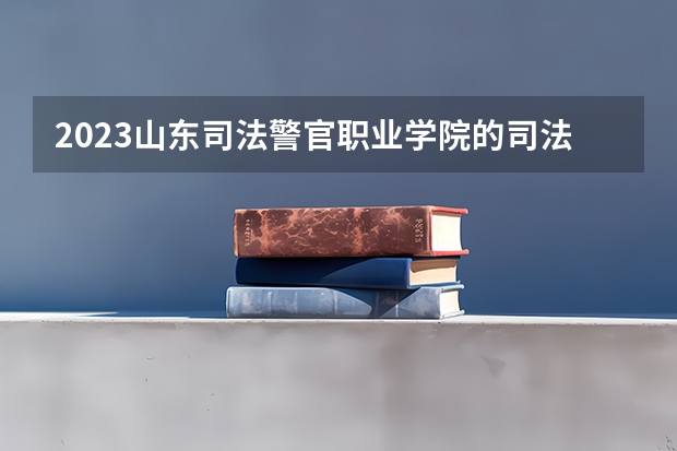 2023山东司法警官职业学院的司法警务专业分数线高不高 山东司法警官职业学院司法警务专业历年分数线参考表单