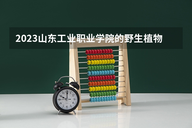2023山东工业职业学院的野生植物资源保护与利用专业分数线高不高 山东工业职业学院野生植物资源保护与利用专业历年分数线参考表单