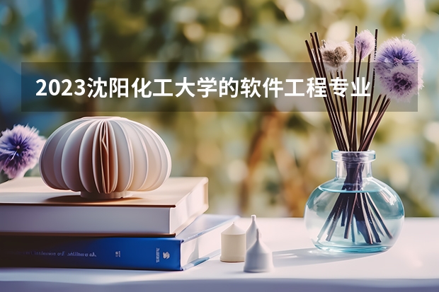 2023沈阳化工大学的软件工程专业分数线高不高 沈阳化工大学软件工程专业历年分数线参考表单