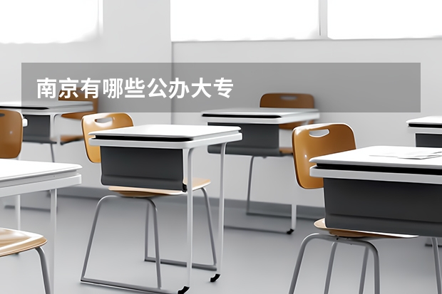 南京有哪些公办大专