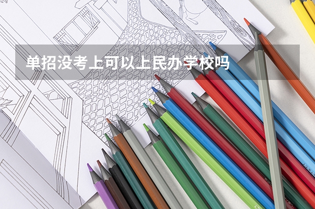 单招没考上可以上民办学校吗