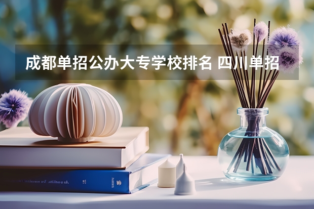 成都单招公办大专学校排名 四川单招学校公办排名前十